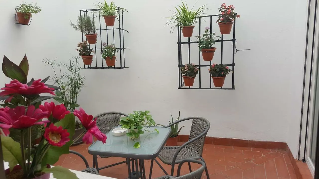 Apartamento Entre Patios Valladares Cordoba 0*,
